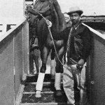 secretariat